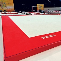 Соревновательный гимнастический ковер Montreal 14х14м